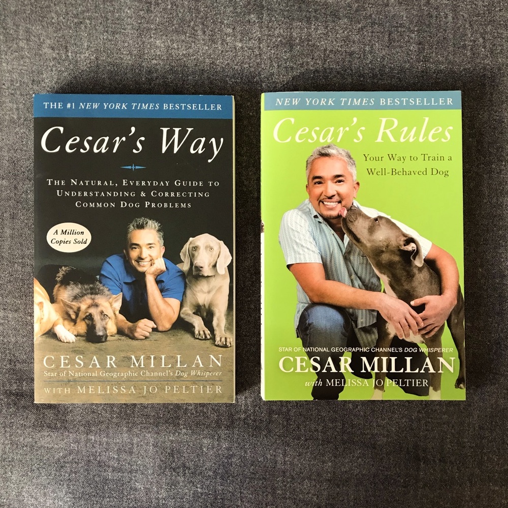 !! 2 for $15 !! Bundle of two Cesar Milan books